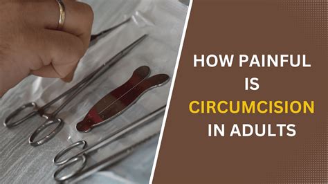 penis necircumcis|What to Know About Being Circumcised vs.